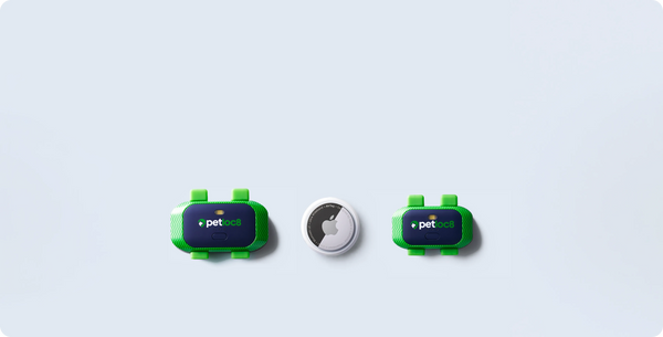 AirTag vs. GPS for Your Pets: What's the Difference?