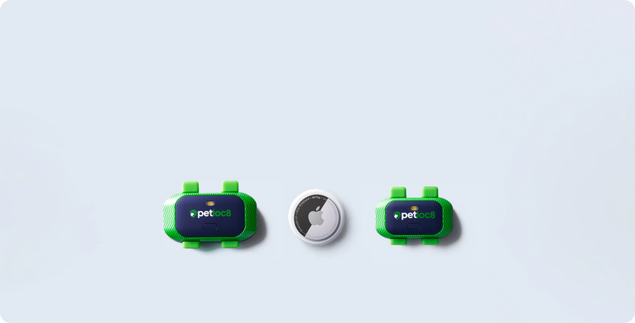 AirTag vs. GPS for Your Pets: What's the Difference?