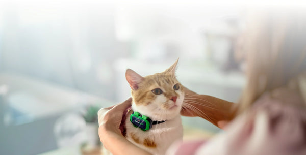 How Do Cat GPS Trackers Work?