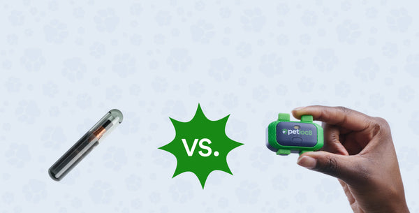 Microchip vs GPS Tracker? How to Really Find a Lost Pet