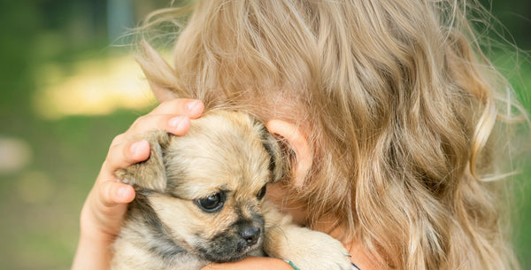 Dog Adoption—Creating a Forever Home