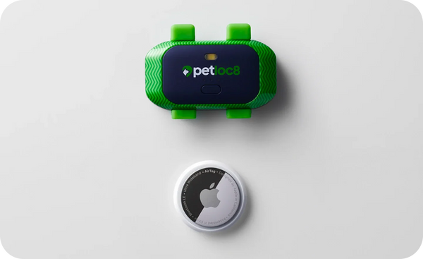 AirTag vs. GPS for Your Pets: What's the Difference?