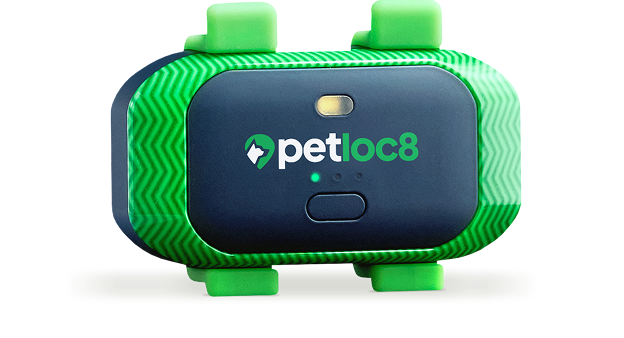 Tiny Trail vs Tiny Trail HP Comparison Table