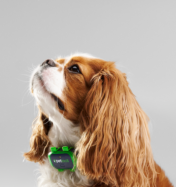 Login Image