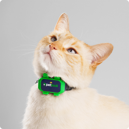 Petloc8 Mini GPS tracker