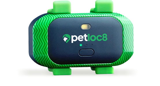 Petloc8 Mini GPS Tracker
